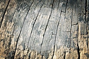 Old wood textures background