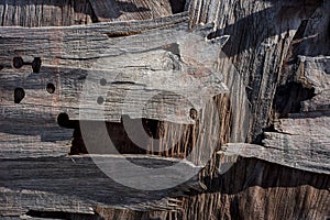 Old wood textures in the harbor