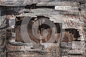 Old wood textures in the harbor