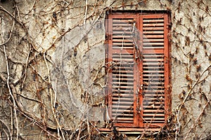 Old wood window with shutters closed