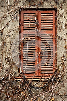 Old wood window with shutters closed