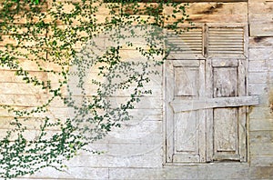 Old wood window