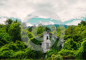 Old wooden abandoned chalet on blacksea mountains