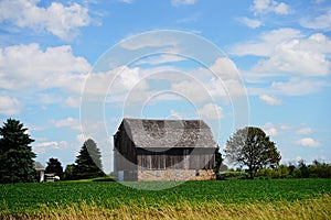 Old wooden abandoned farm barn sits on a farm field outside of fond du Lac, Wisconsin during a blue cloudy day.