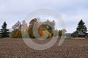 Old wooden abandoned farmstead in the middle of the field in Lithuania