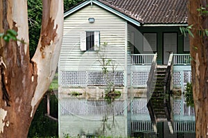 Old wooden abandoned house in a jungle with flooded from the lake