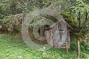 Old wooden alpine cabin at a meadow in the alps, Austria