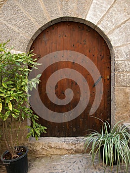 Old wooden arch door and plants.