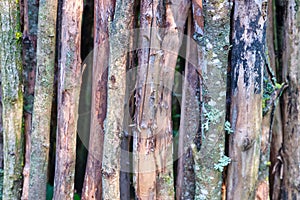 Old Wooden Background.