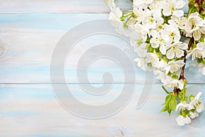 Old wooden background with branches of blossoming cherry and copy space for text. Flat lay