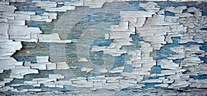 Old wooden background, peeling blue and white paint. Shabby board, dilapidated texture, close-up