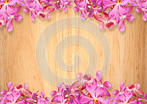 Old wooden background with pink Orchid flowers