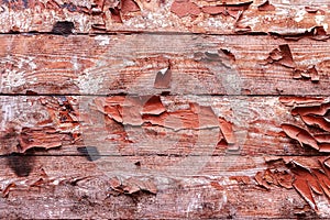 Old wooden background. Rustic style. Board. Wallpaper