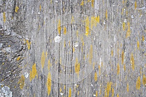 Old wooden background. Rustic style wallpaper. Timber texture. Kitchen table