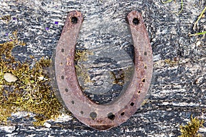 Old wooden background with rusty horseshoe