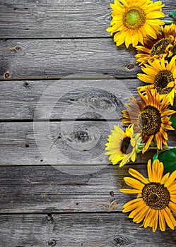 Old wooden background with sunflowers.