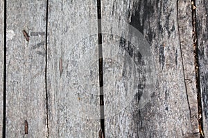 Old wooden background,texture of 100 year old wood