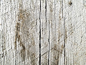 Old wooden background with vertical weathered boards
