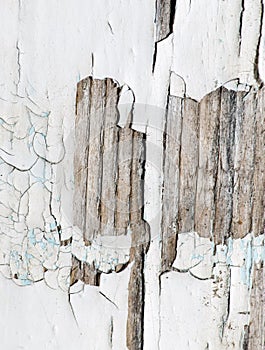 Old wooden background with white chapped paint