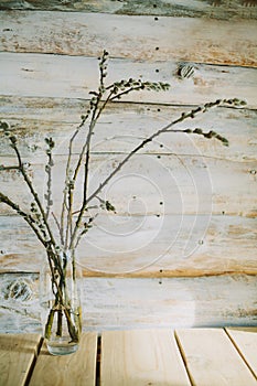 Old wooden background with willow branches in a bottle