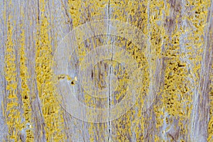 Old wooden background with yellow