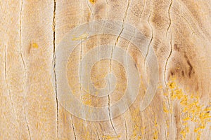 Old wooden background with yellow