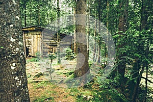 Old wooden barn in the middle of the forest