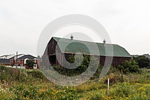 Old wooden barn - weathered texture - green metal roof - surrounded by wild grass and plants - cloudy sky backdrop