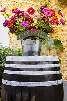 Old wooden barrel and beautiful colorful flowers