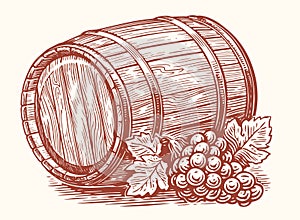 Old wooden barrel and ripe grapes with leaves. Oak cask of alcoholic drink wine. Sketch vector illustration