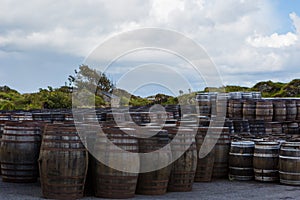 Old wooden barrels and casks with single malt Scotch at whisky distillery in Scotland