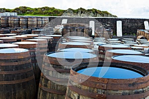 Old wooden barrels and casks with single malt Scotch at whisky distillery in Scotland