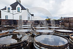 Old wooden barrels and casks with single malt Scotch at whisky distillery in Scotland