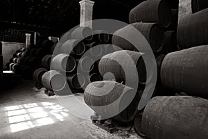 Old wooden barrels of sherry in bodega photo