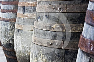 Old wooden barrels for storing wine