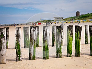 Old wooden beams from former pier on a beautiful beach