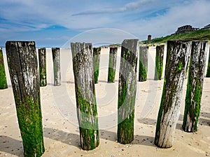 Old wooden beams from former pier on a beautiful beach