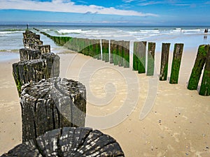 Old wooden beams from former pier on a beautiful beach