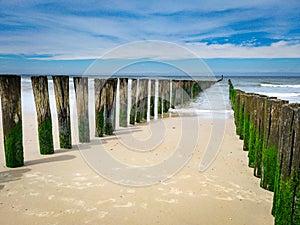 Old wooden beams from former pier on a beautiful beach