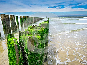 Old wooden beams from former pier on a beautiful beach