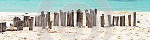 Old wooden beams from former pier on a beautiful caribbean beach in Mexico