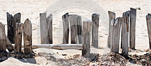 Old wooden beams from former pier on a beautiful caribbean beach in Mexico