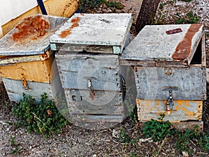Old Wooden Beehives