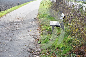 Old wooden bench along a quiet country road.Peaceful scene at the park.