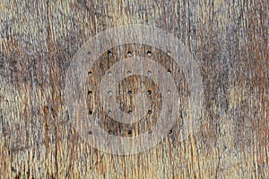 Old wooden bench background