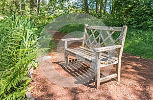 A old wooden bench in the beautiful botanical garden with sunlight shadow and shade in the day time..