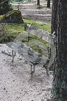 Old wooden bench in the forest.
