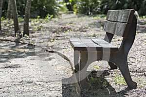 Old wooden bench in a public park