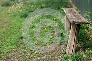 An old wooden bench staggered against the backdrop of green grass and dandelions