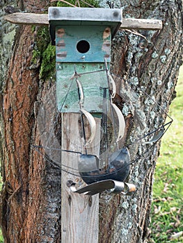 Old wooden birdhouse hang on cherry tree. Anybody put the model of sailing yacht f